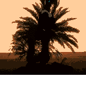 [ Part of Palm Tree ]