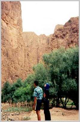 [ Todra Rock Formation 2 ]