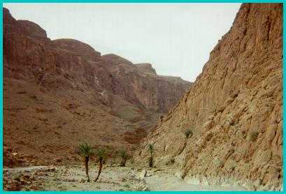 [ Todra Rock Formation 3 ]